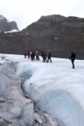 We took a great guided hike on the Athabasca Glacier with icewalks.com