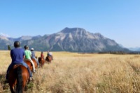 We took a 2-hour ride with Alpine Stables on our first evening in Waterton Lakes. We saw three bears from horseback.